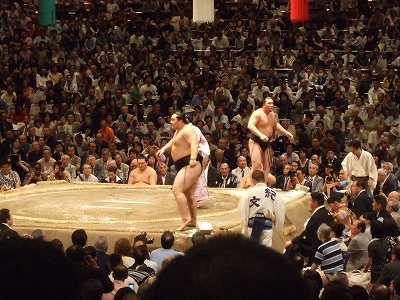s-朝青龍－安馬.jpg