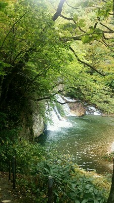 s-2014-1006-3.jpg