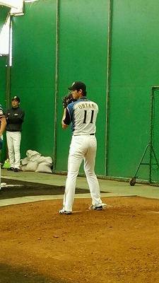s-2015-0213-2.jpg