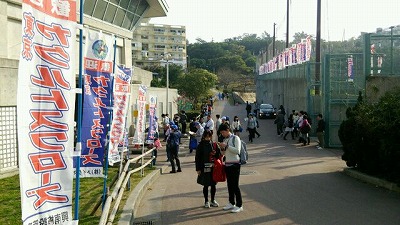 s-2015-0214-1.jpg