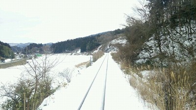 s-2016-0206-1.jpg
