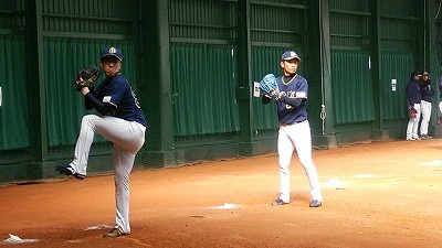 s-2017-0222-7.jpg