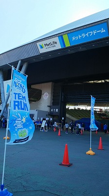 s-2017-0313-1.jpg